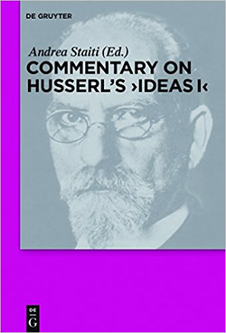 Commentary on Husserls Ideas I