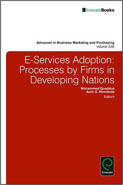 E-services Adoption: Processes by Firms in Developing Nations