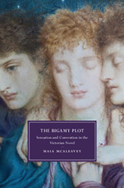 The Bigamy Plot: Sensation and Convention in the Victorian Novel